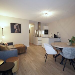 appartement Schiedamsesingel Rotterdam