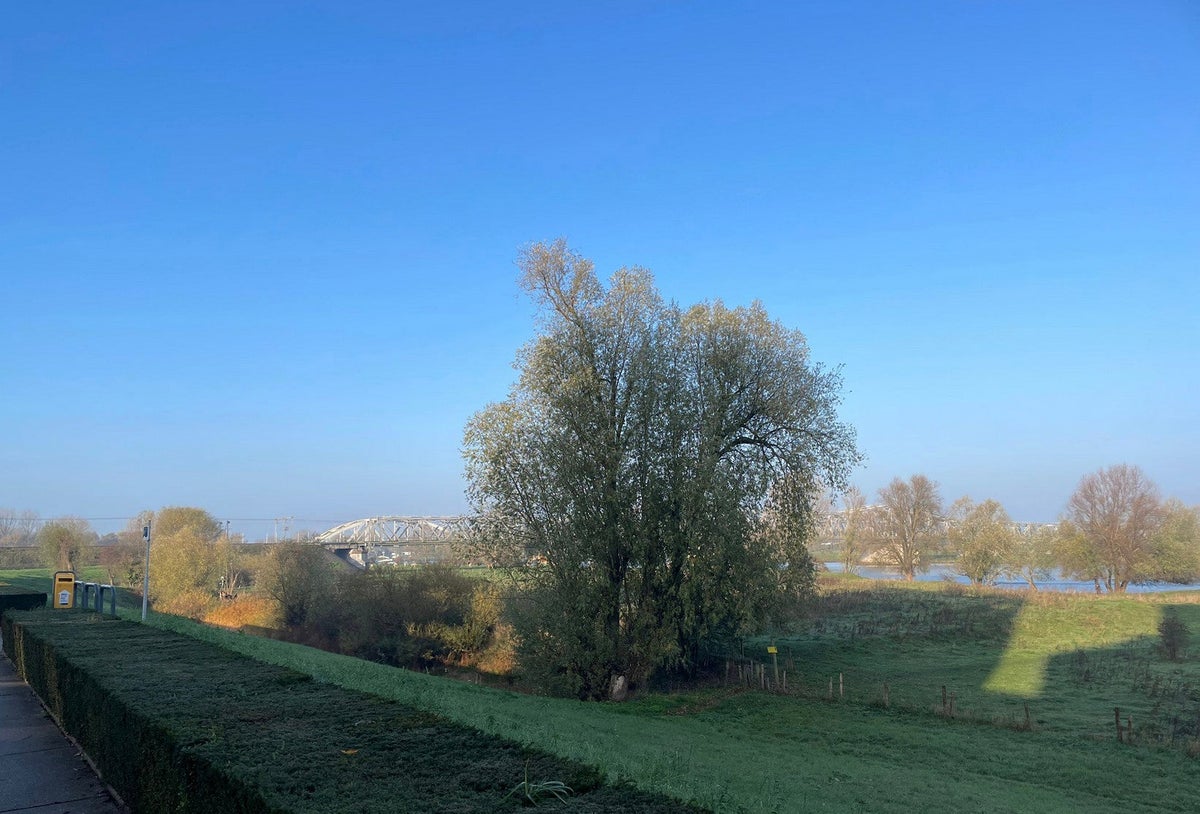appartement Schout van Doernestraat Den Bosch - Afbeelding 5