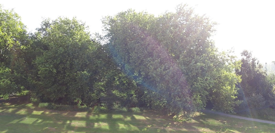 appartement Schuilenburgerplein Amersfoort - Afbeelding 5