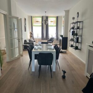 appartement Snelliusstraat Den Haag
