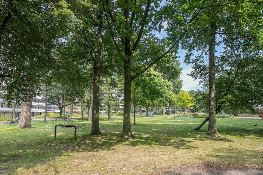 appartement Spinnekop Amsterdam - Afbeelding 2