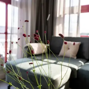 appartement Sterkerij Ede