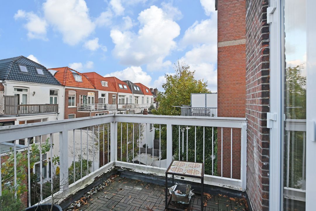appartement Theresiastraat Den Haag - Afbeelding 4