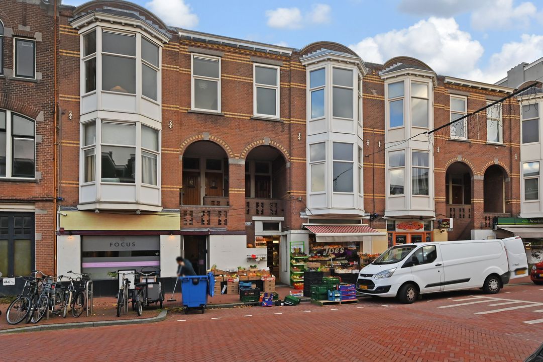 appartement Theresiastraat Den Haag