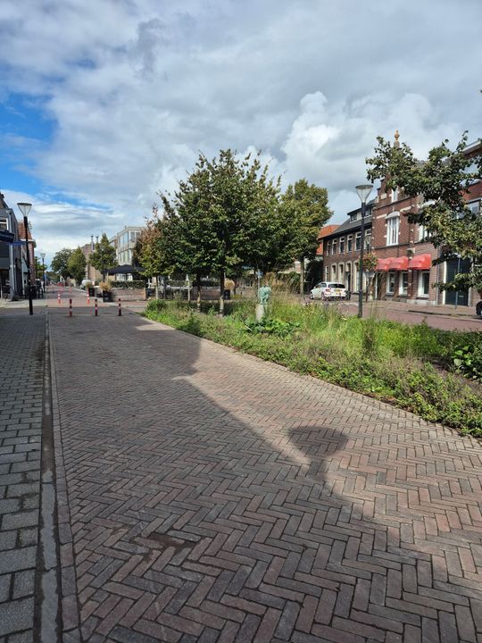 appartement Tilburgseweg Goirle - Afbeelding 3