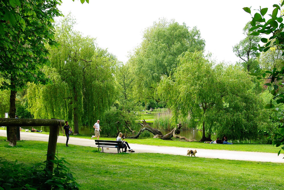 appartement Tweede Jan Steenstraat Amsterdam - Afbeelding 4