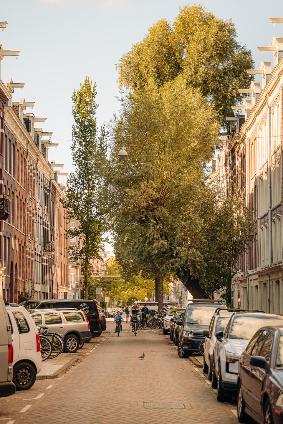 appartement Tweede Jan Steenstraat Amsterdam - Afbeelding 5
