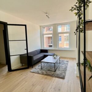 appartement Usselincxstraat Den Haag