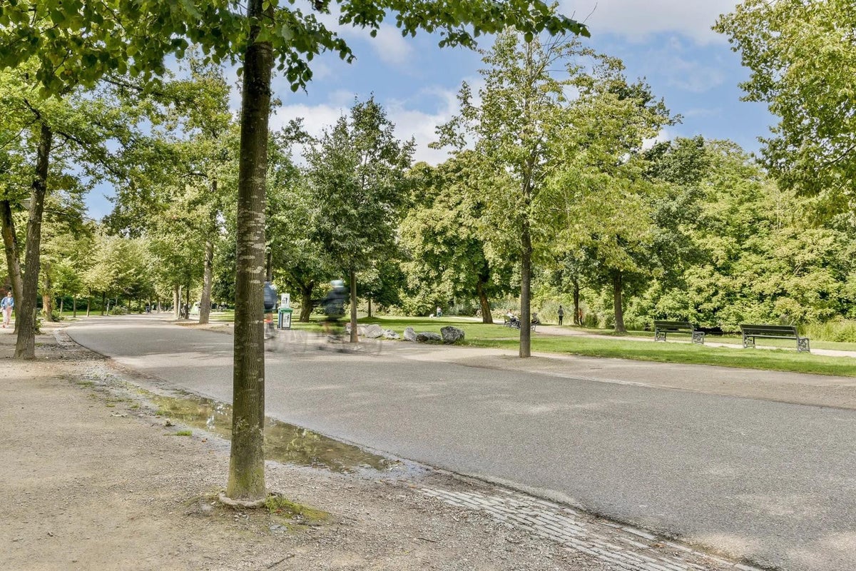 appartement Van Eeghenstraat Amsterdam - Afbeelding 2