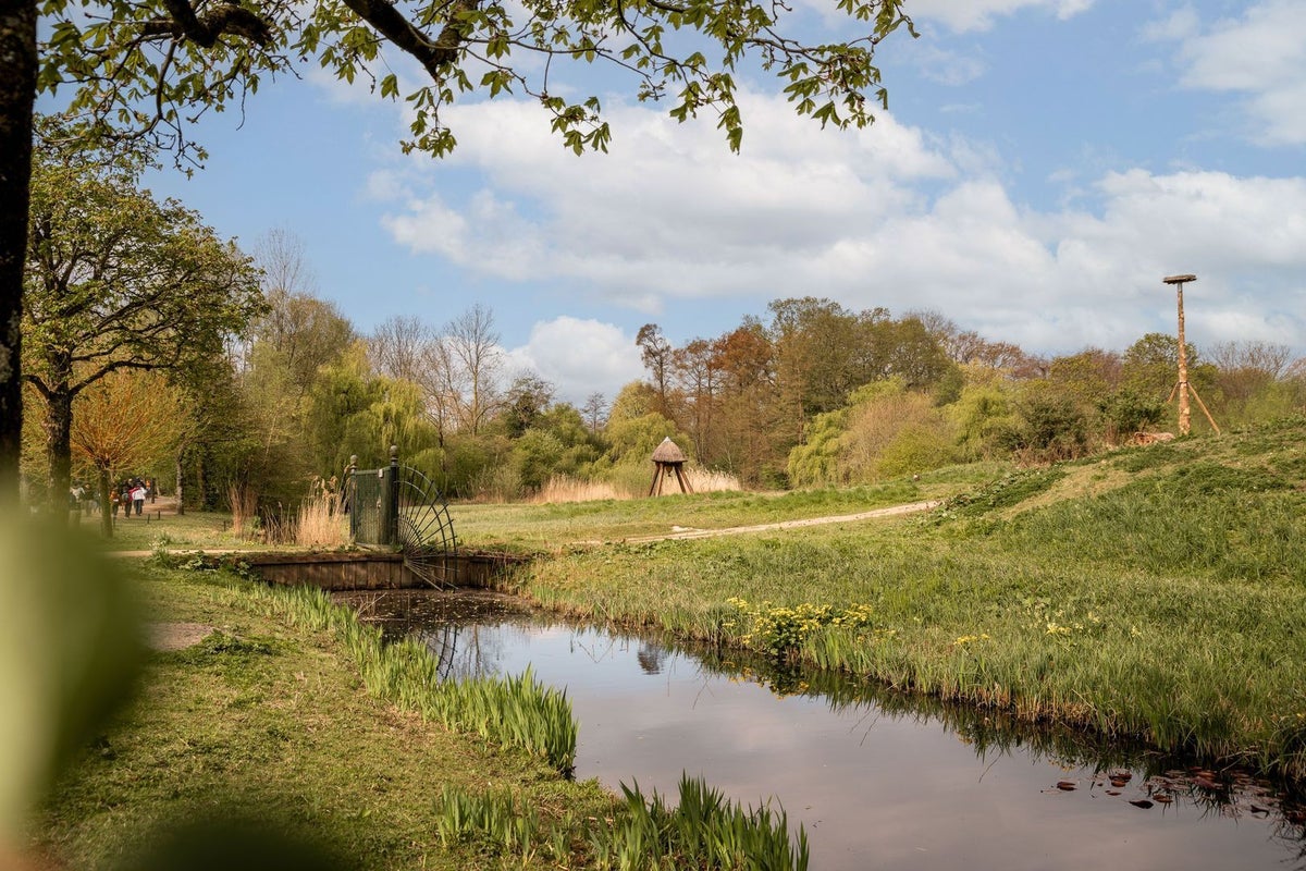 appartement Van Eeghenstraat Amsterdam - Afbeelding 4