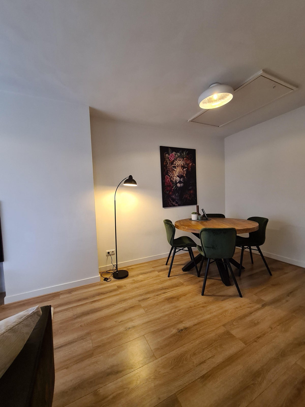 appartement Van Sijsenstraat Groningen - Afbeelding 3