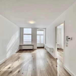 appartement Van Woustraat Amsterdam