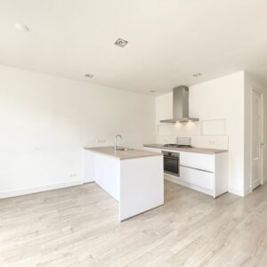 appartement Van Woustraat Amsterdam