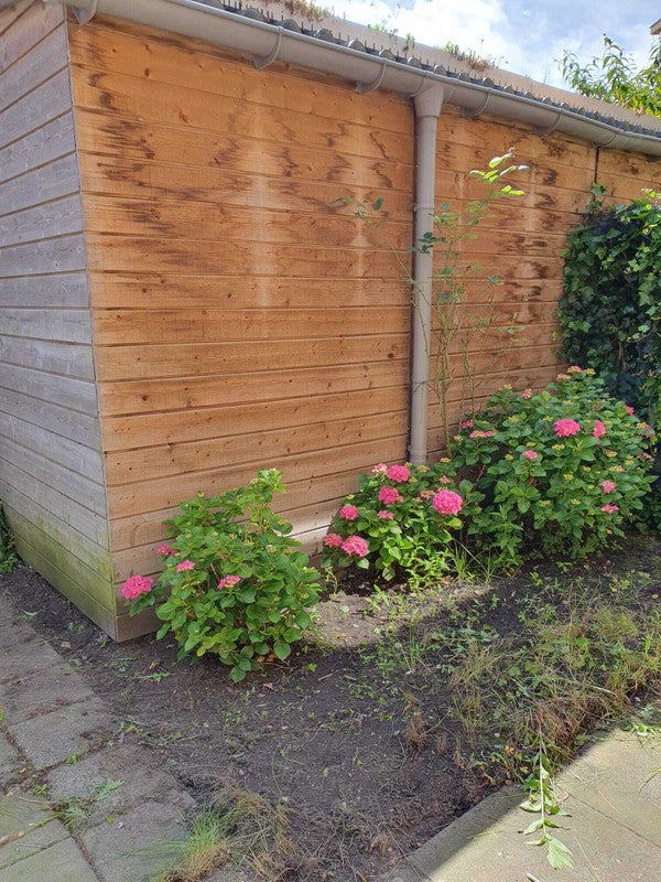 appartement Van der Pekstraat Amsterdam - Afbeelding 5