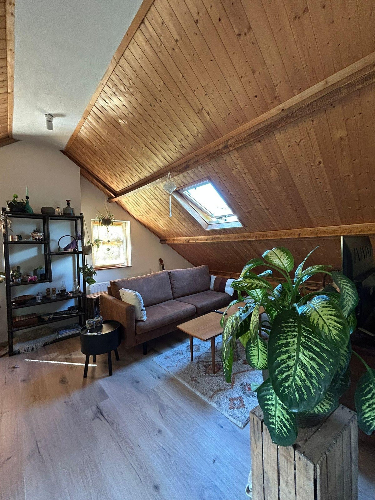 appartement Vijftig Bunderweg Dorst - Afbeelding 2