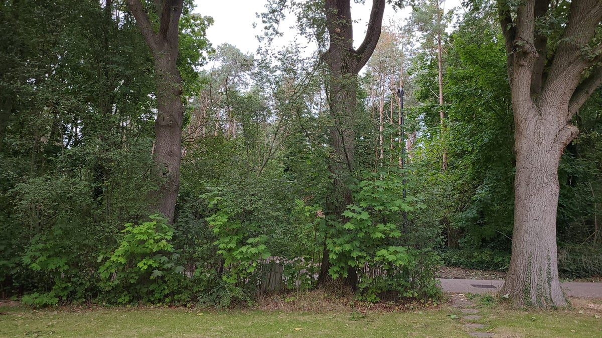 appartement Vijftig Bunderweg Dorst - Afbeelding 4
