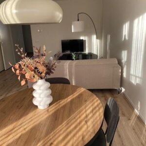 appartement Voltastraat Maastricht