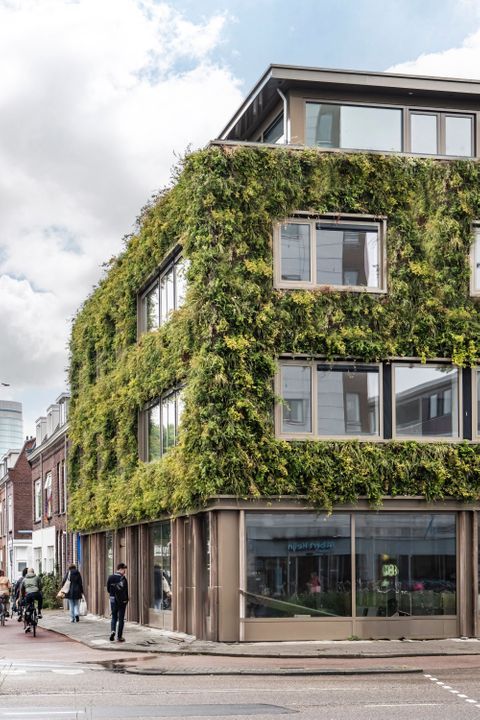 appartement Vondellaan Utrecht