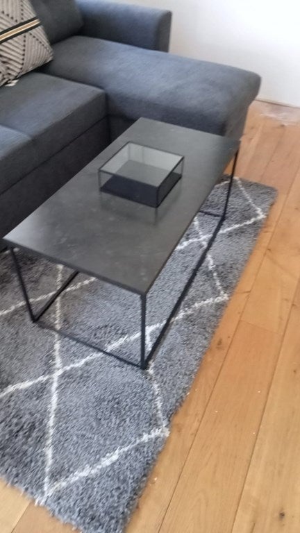 appartement Vondelstraat Den Haag - Afbeelding 5