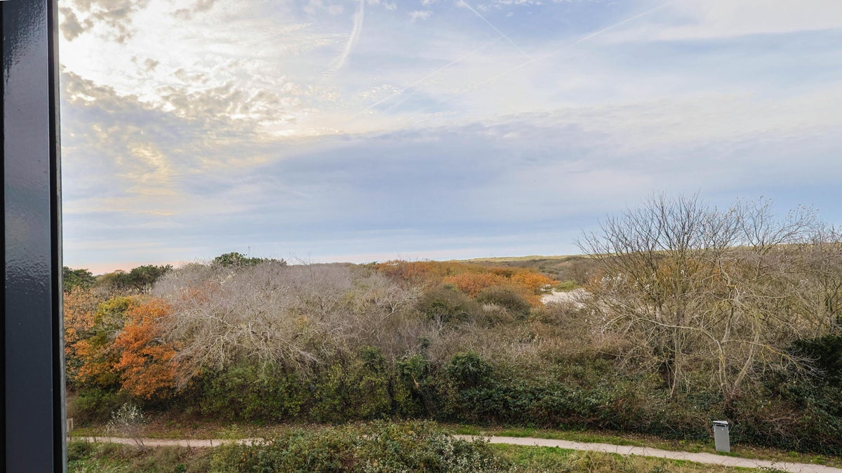appartement Walchersestraat Den Haag - Afbeelding 3