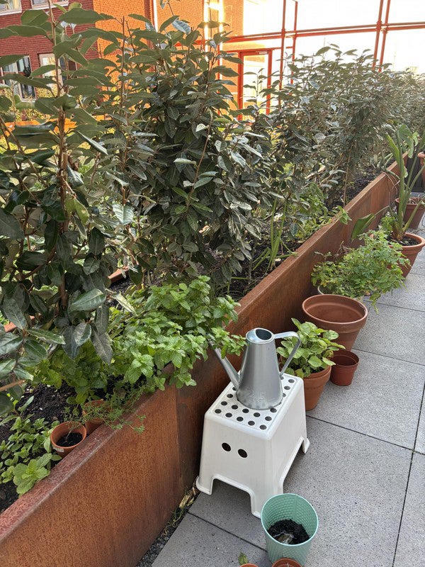 appartement Werfstraat Amsterdam - Afbeelding 4