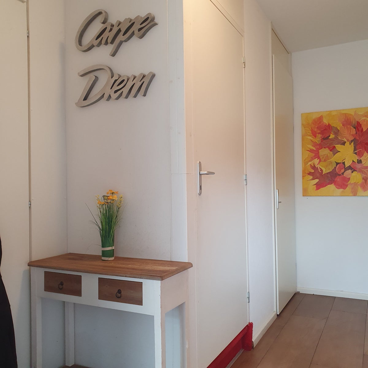 appartement Wiegersmastraat Zwolle - Afbeelding 3