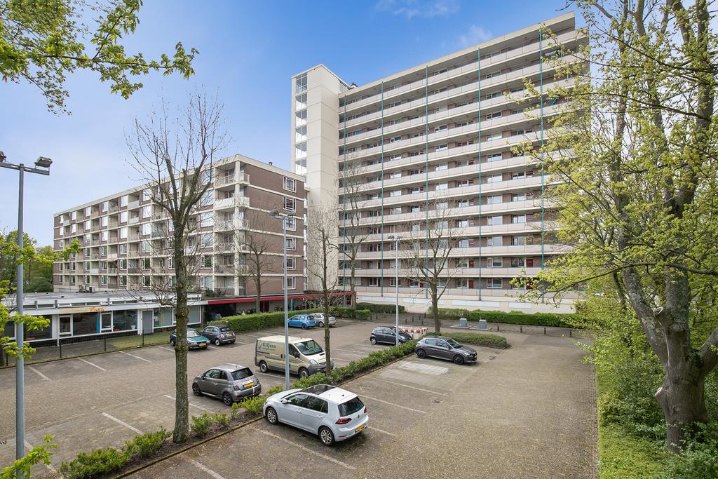 appartement Wilgenplaslaan Rotterdam