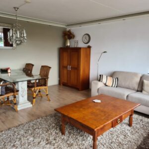 appartement Zaanenstraat Haarlem