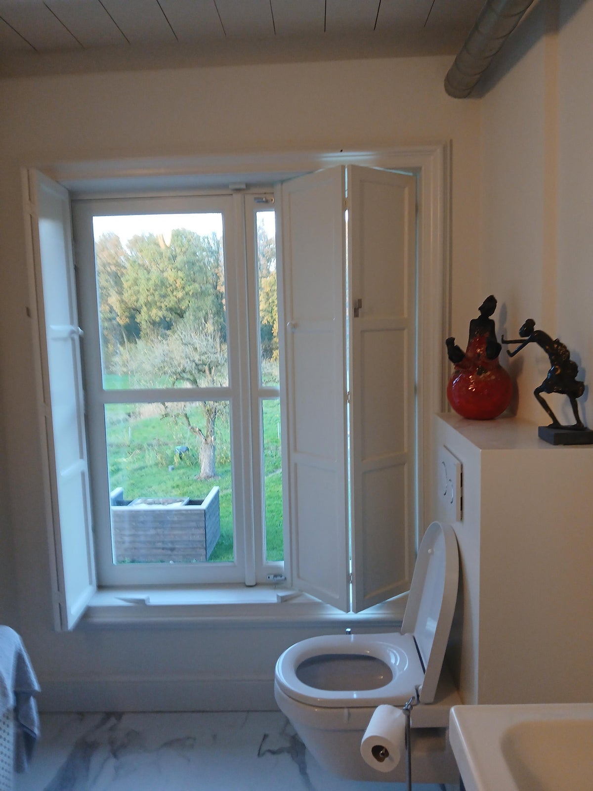 appartement Zelksestraat Horssen - Afbeelding 3