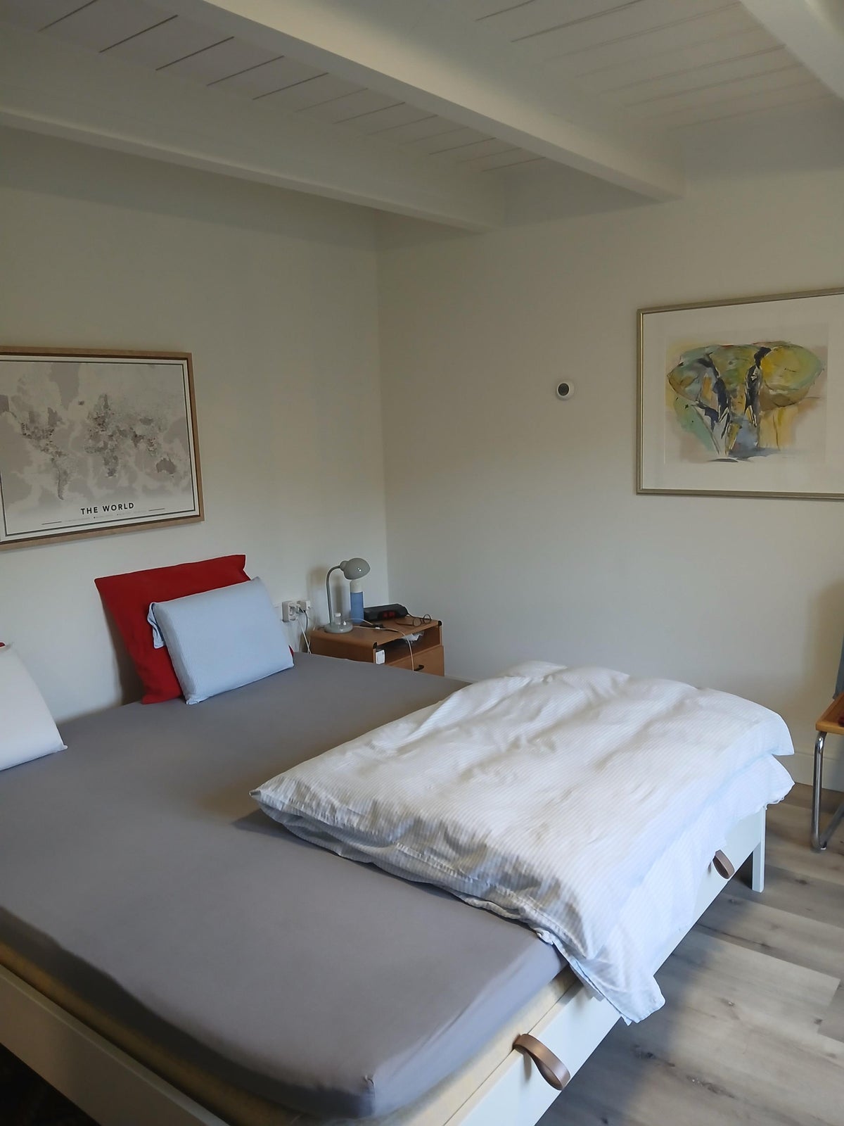 appartement Zelksestraat Horssen - Afbeelding 4