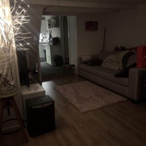 huis Buitenplaats Dronten