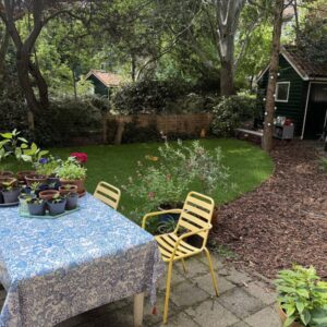 huis Cornelis Krusemanstraat Amsterdam