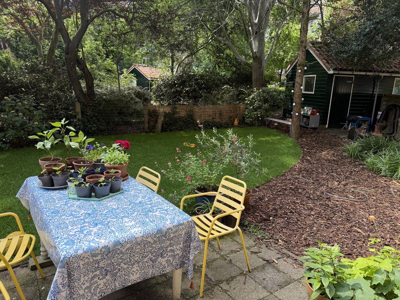 huis Cornelis Krusemanstraat Amsterdam