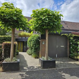 huis Donderberg Rhenen