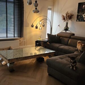 huis Duke Ellingtonrode Zoetermeer