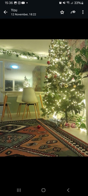 huis Frits Ruysstraat Rotterdam - Afbeelding 3