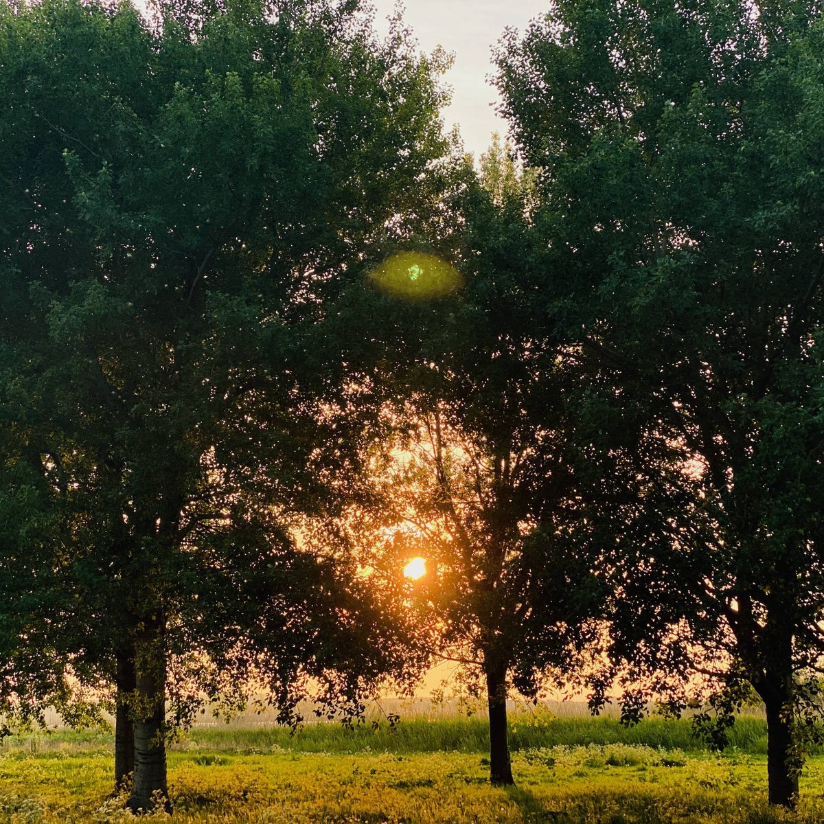 huis Gaffel Almere - Afbeelding 5