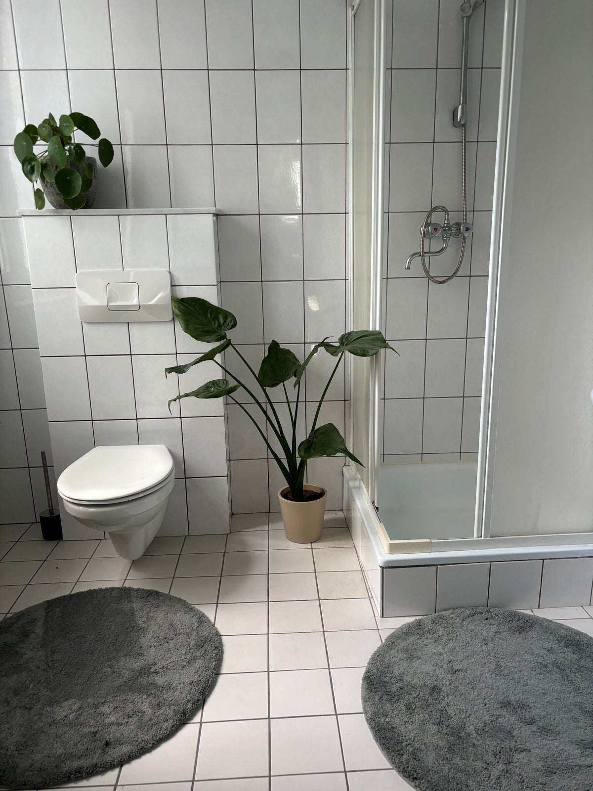 huis Graaf van Waldeckstraat Maastricht - Afbeelding 4