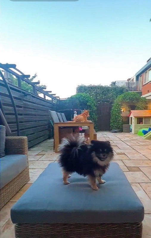 huis Griend Diemen - Afbeelding 3