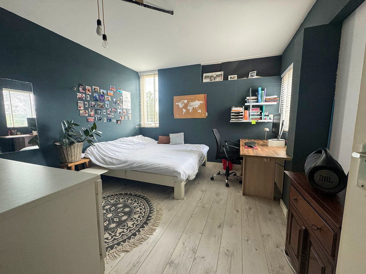 huis Groenoord Alphen aan den Rijn - Afbeelding 4