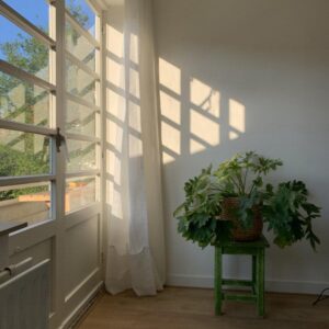 huis Henriëtte Ronnerplein Amsterdam