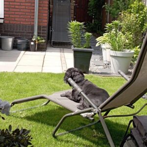 huis Koningsspil Nunspeet