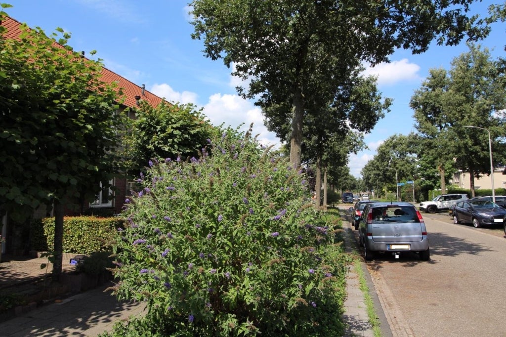 huis Marga Klompélaan Rijen - Afbeelding 5