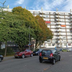 huis Oosterse tuin Rotterdam