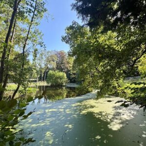 huis Rijksstraatweg Ubbergen