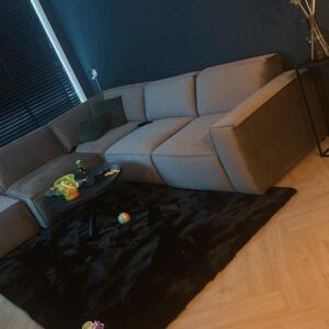 huis Treubstraat Nijmegen