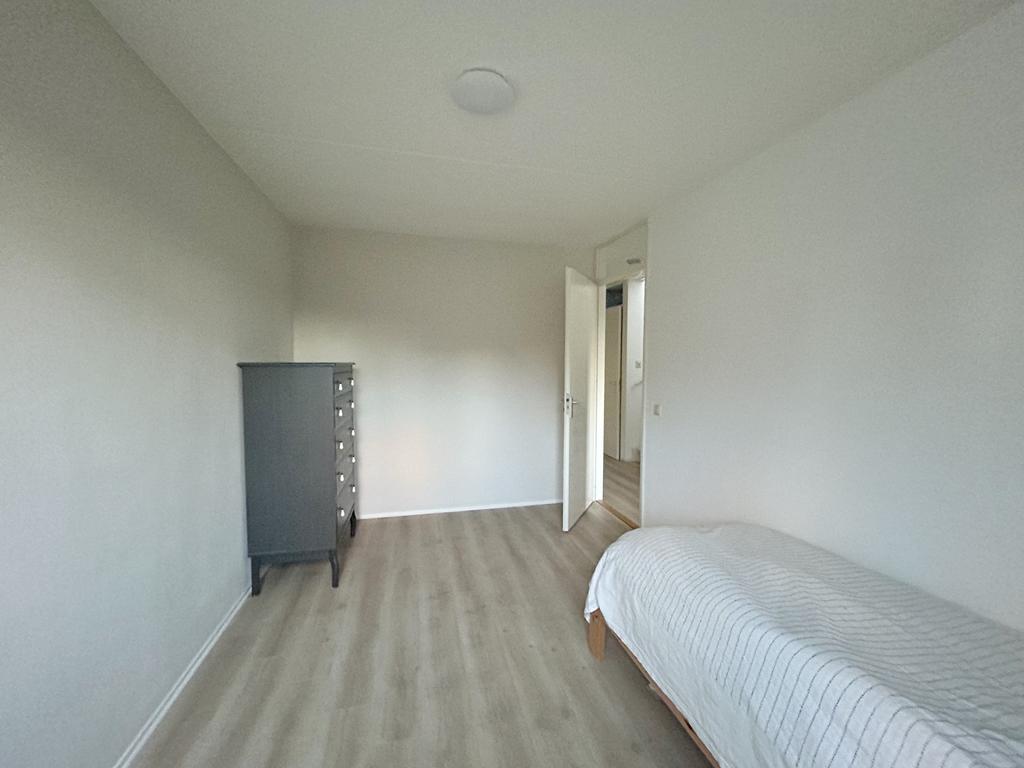 huis Waterloop Delft - Afbeelding 3