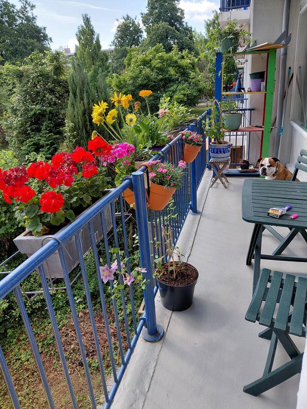 huis Wijenburg Amsterdam - Afbeelding 2