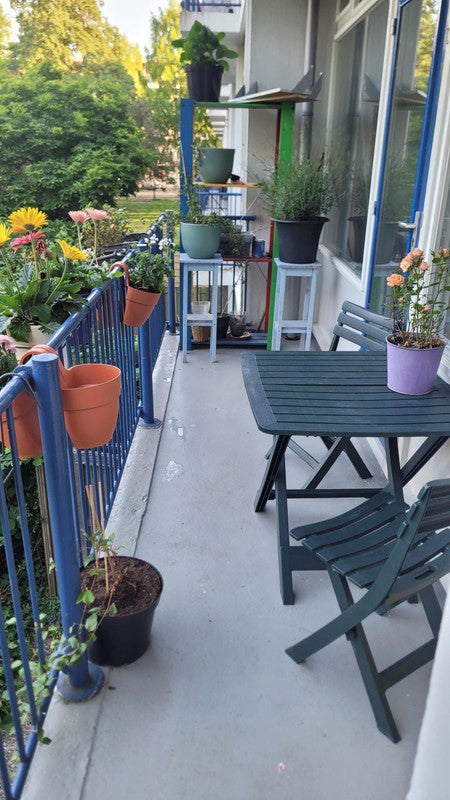 huis Wijenburg Amsterdam - Afbeelding 3