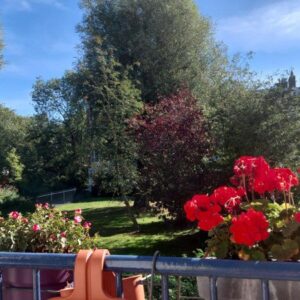 huis Wijenburg Amsterdam